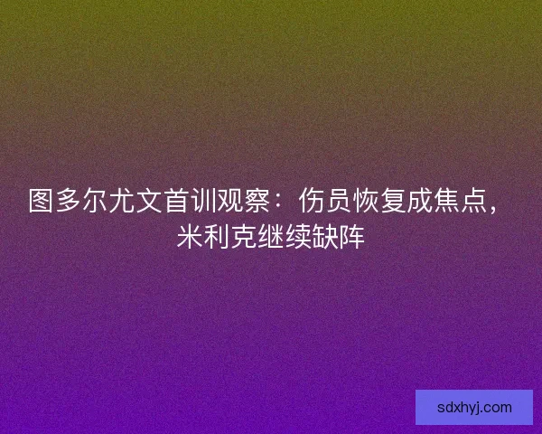 图多尔尤文首训观察：伤员恢复成焦点，米利克继续缺阵