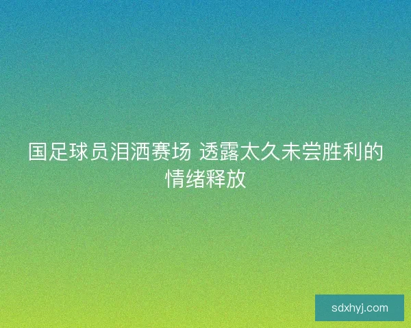 国足球员泪洒赛场 透露太久未尝胜利的情绪释放