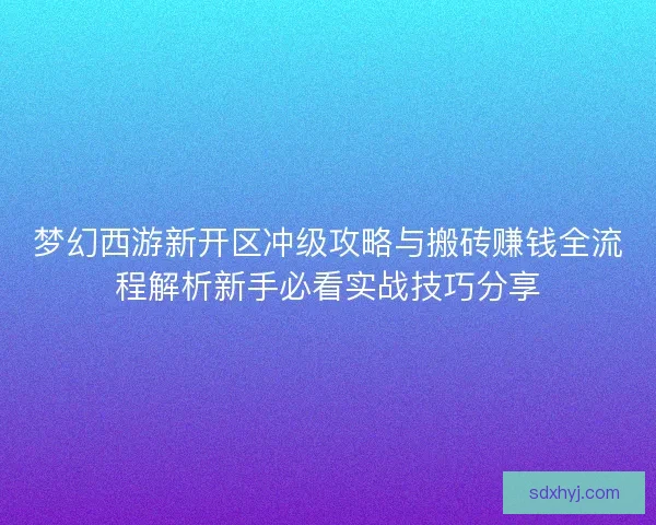 梦幻西游新开区冲级攻略与搬砖赚钱全流程解析新手必看实战技巧分享 梦幻西游新开区冲级攻略与搬砖赚钱全流程解析新手必看实战技巧分享