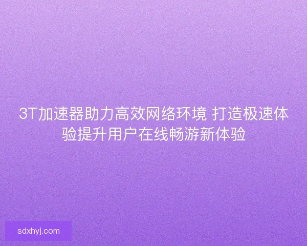 3T加速器助力高效网络环境 打造极速体验提升用户在线畅游新体验