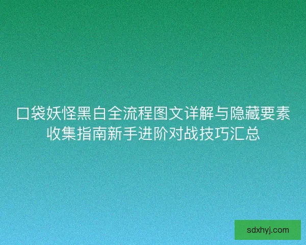 口袋妖怪黑白全流程图文详解与隐藏要素收集指南新手进阶对战技巧汇总